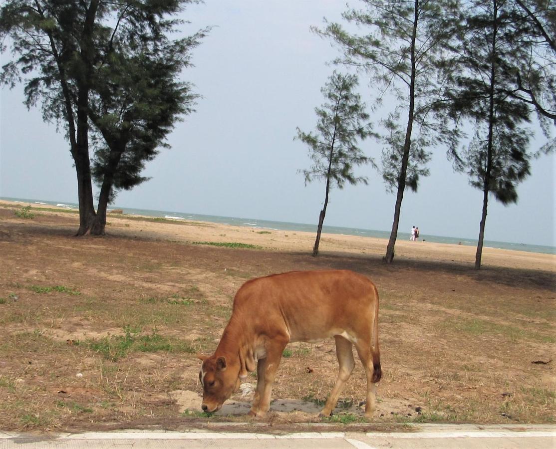 The Sunrise Beach Cafe And Guesthouse Ban Tha Khoi Extérieur photo